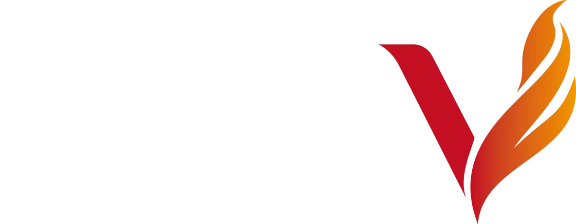株式会社V